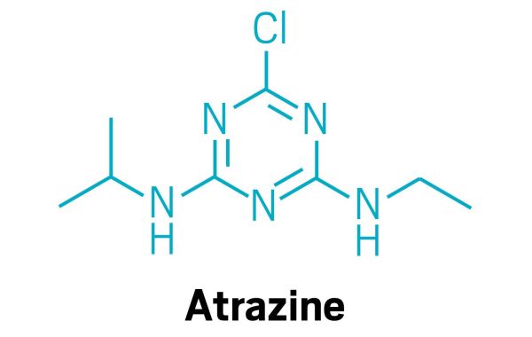 How to filter Atrazine out of your water