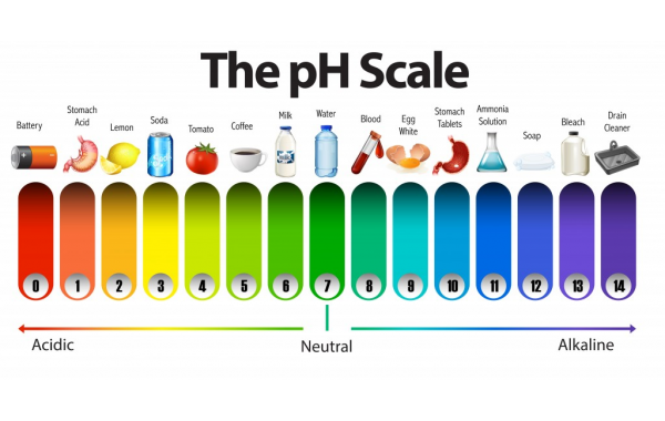 Is alkaline water good for you? Truth and myths of alkaline water.